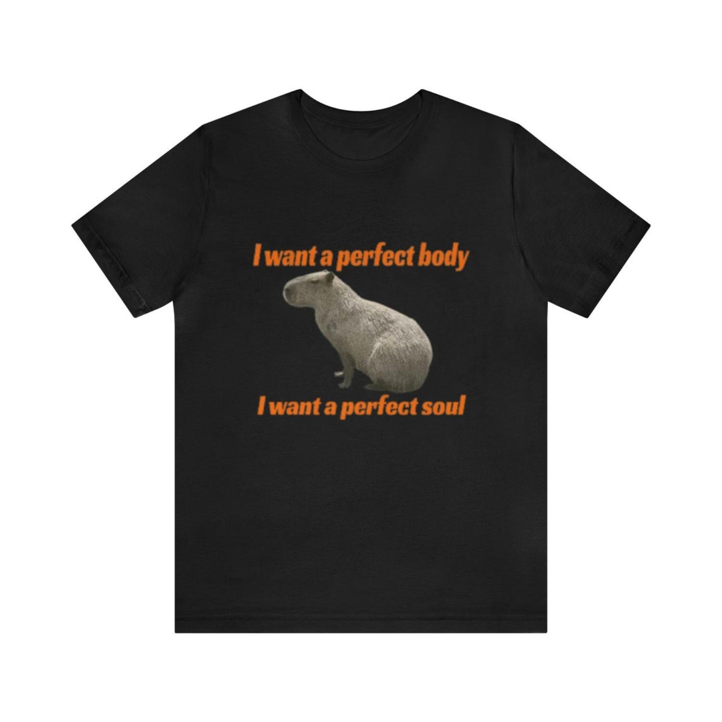 Desire a Flawless Body and Soul Humorous Capybara T Shirt - Comical Meme Parody Tee Ideal Gift